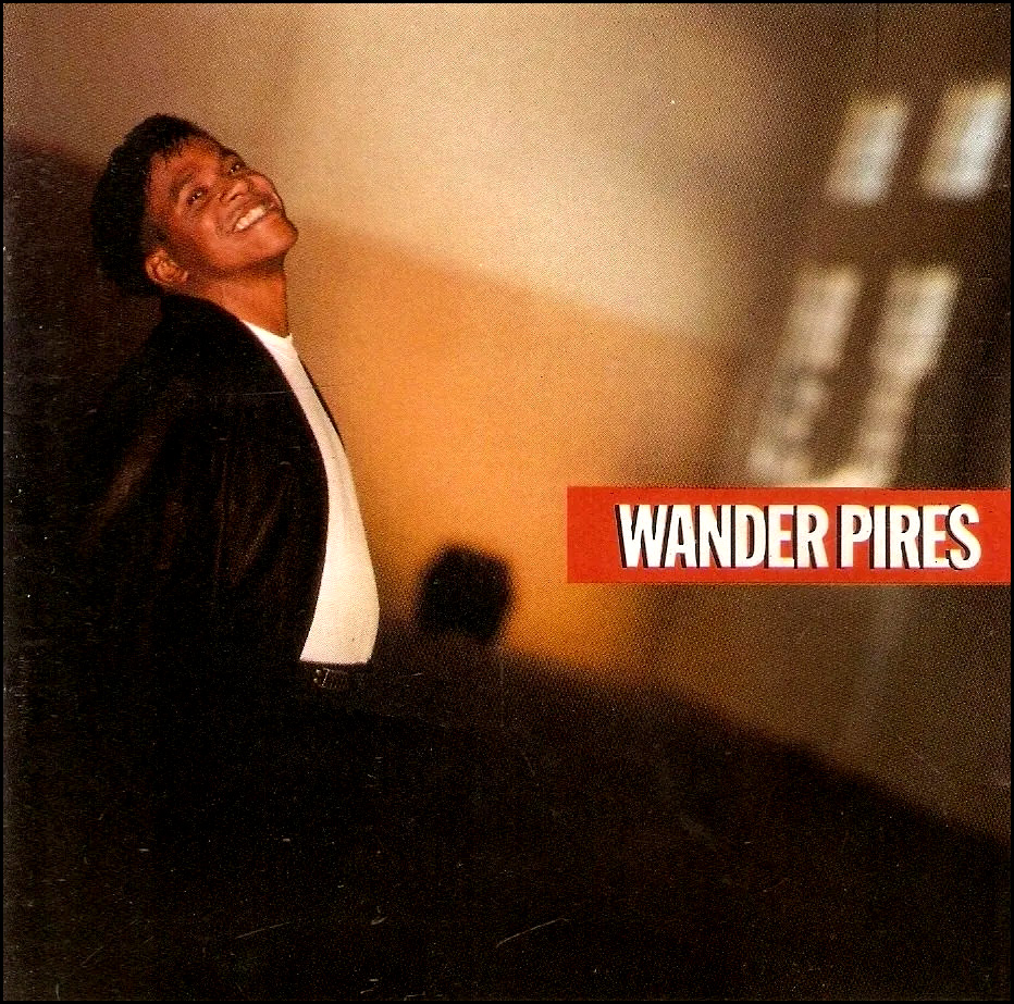 Capa LP Wander Pires